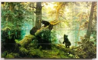 картина "медвежата в лесу" 30*40 см на дереве ж007, пэм