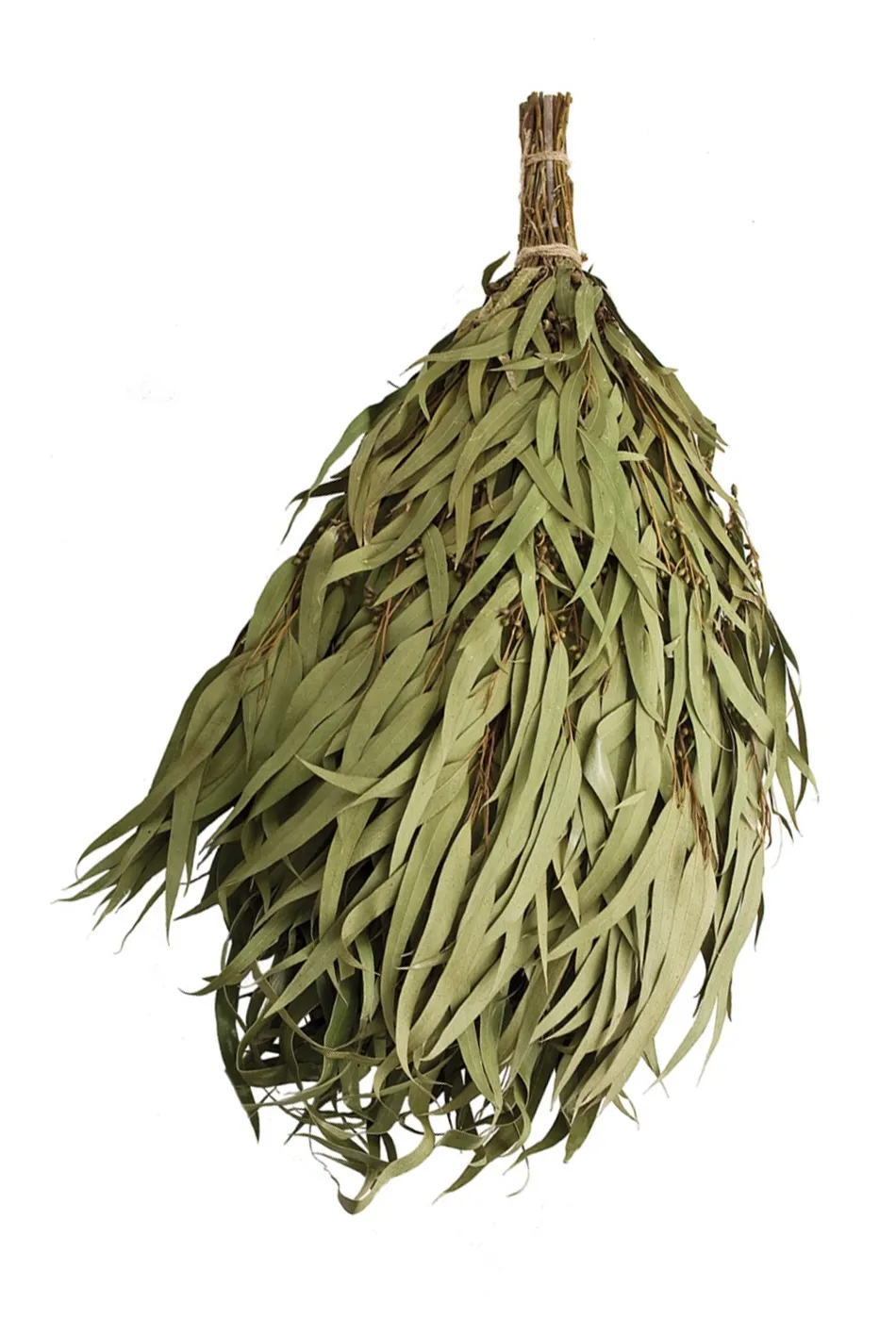 Эвкалиптовые венеки